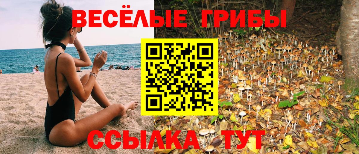 Галлюциногенные грибы мухоморы Балахна